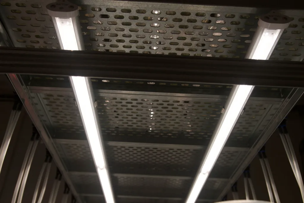 Led5.webp