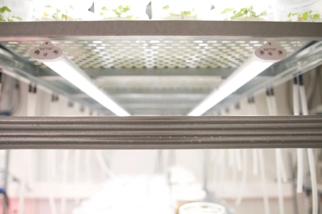 Led6.webp