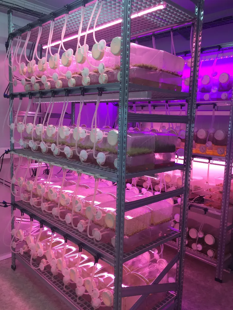[SE-R64] SETIS™ Rack for 64 Bioreactors