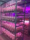 SETIS™ Rack for 64 Bioreactors