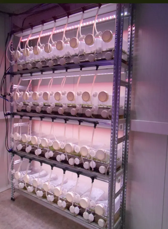 [SE-R32] SETIS™ Rack for 32 Bioreactors