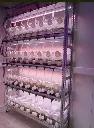 SETIS™ Rack for 32 Bioreactors
